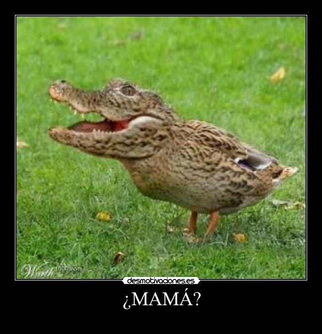 ¿MAMÁ? -