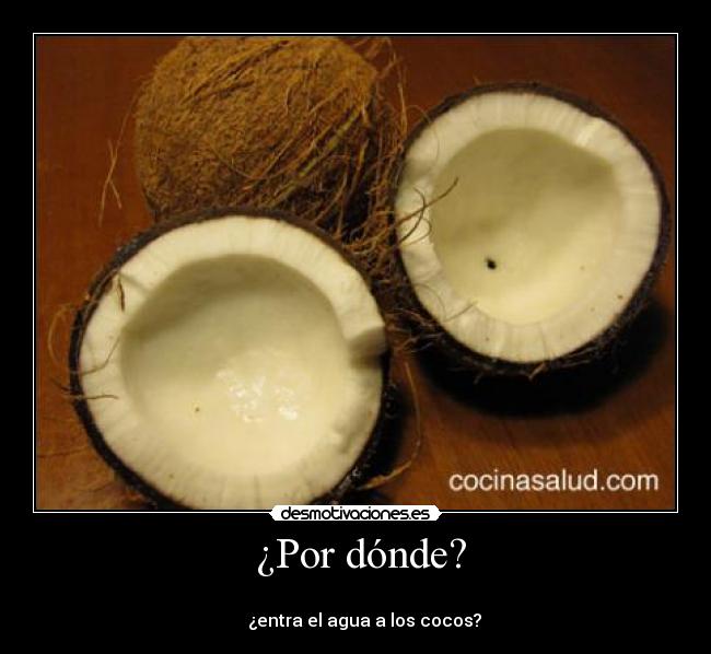 ¿Por dónde? -
¿entra el agua a los cocos?