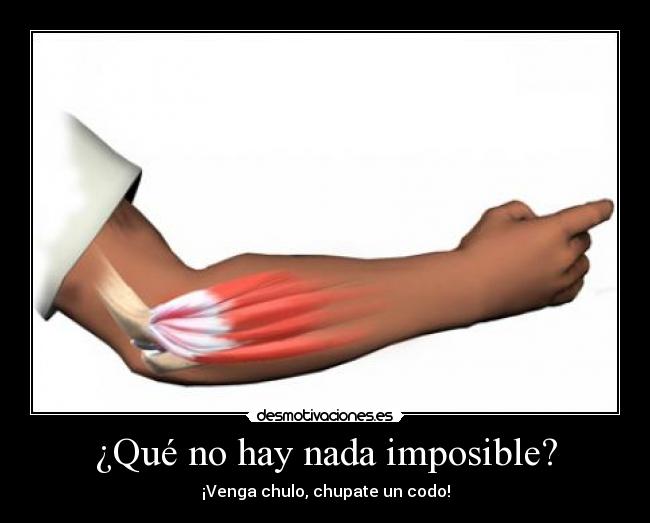 carteles imposible codo chupa chupa chupa codo imposible desmotivaciones