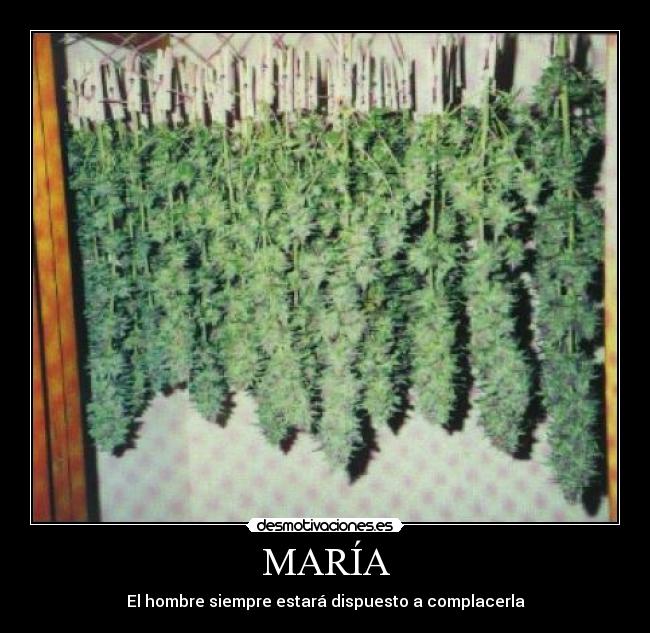 carteles maria desmotivaciones