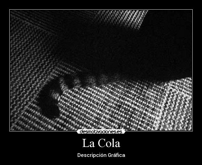 La Cola - 