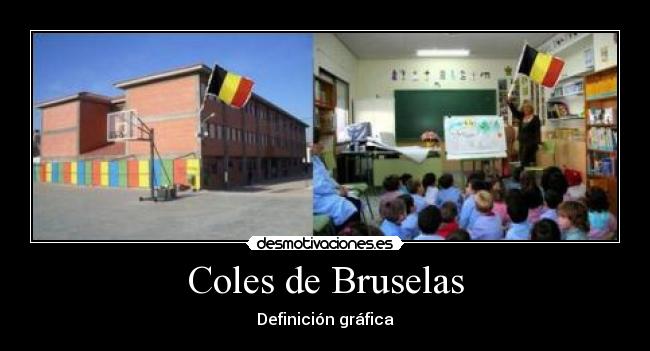 Coles de Bruselas - Definición gráfica