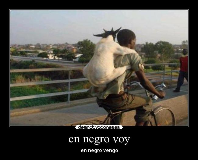 en negro voy -