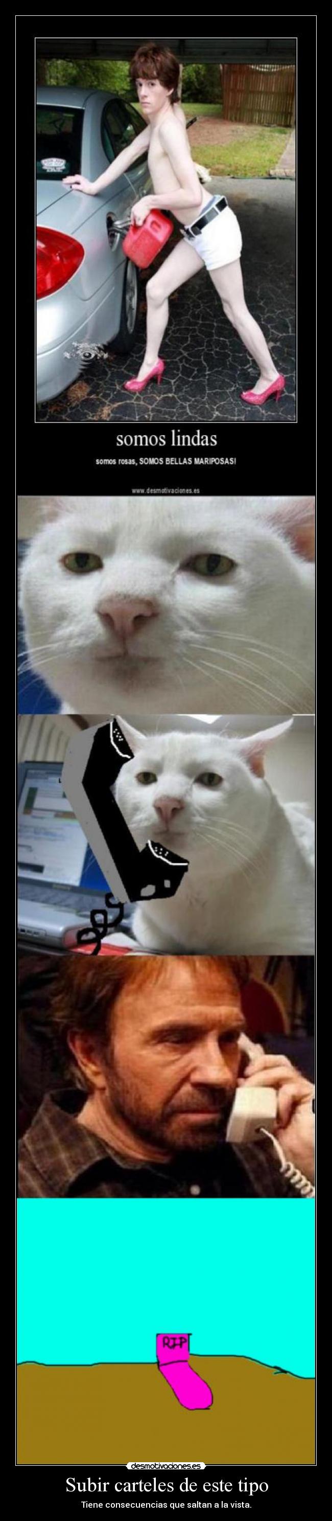 carteles fail desmotivaciones