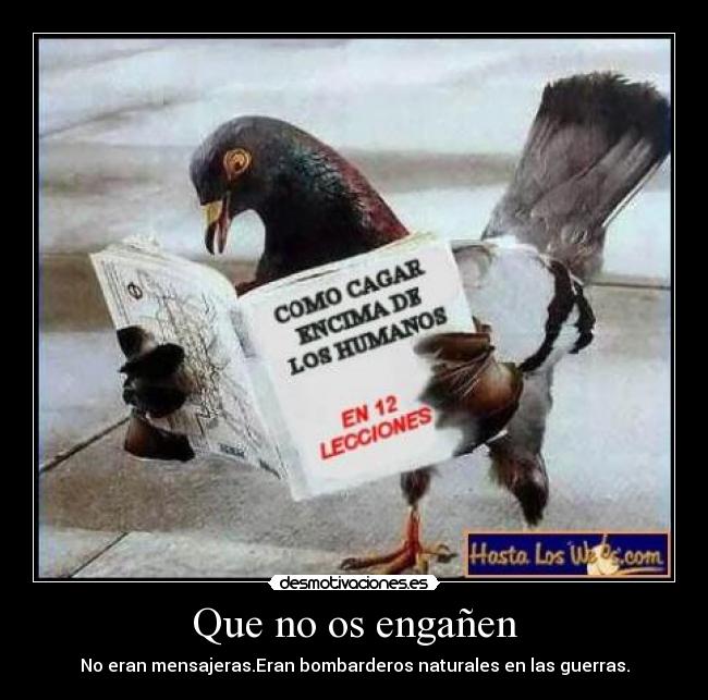 Que no os engañen - No eran mensajeras.Eran bombarderos naturales en las guerras.