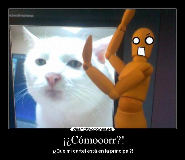 ¡¿Cómooorr?! - ¡¿Que mi cartel está en la principal?!