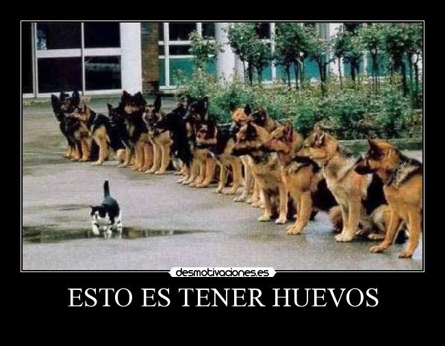 carteles manolo88 desmotivaciones