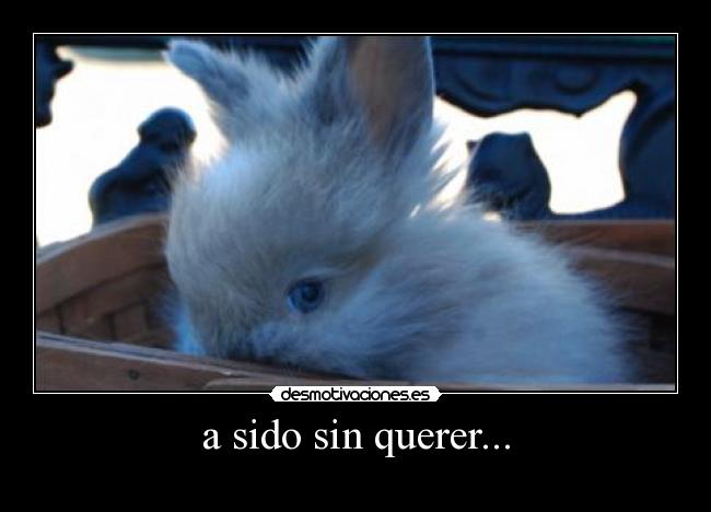 a sido sin querer... - 