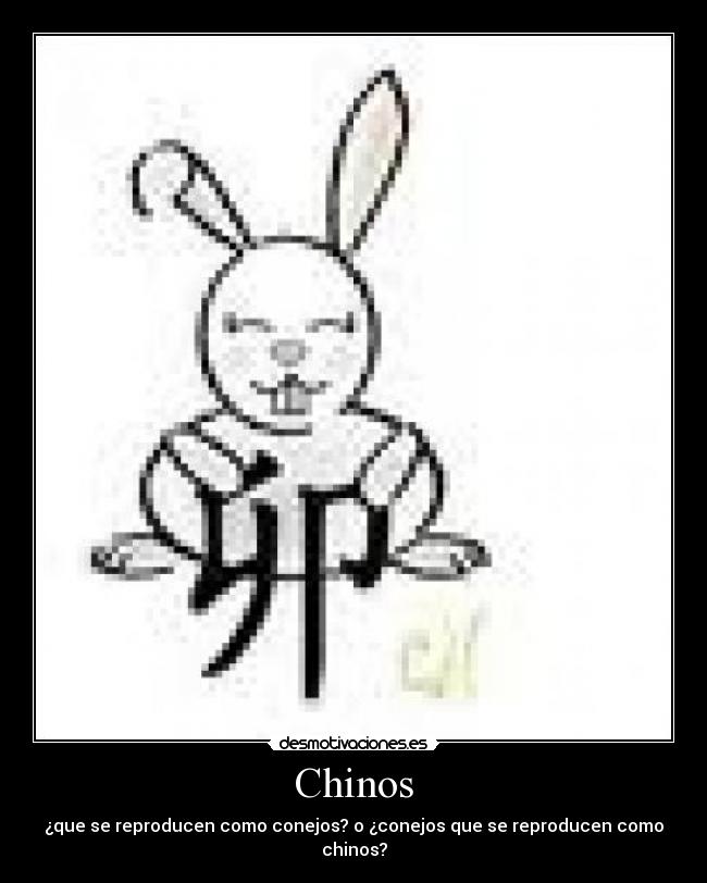 Chinos - 