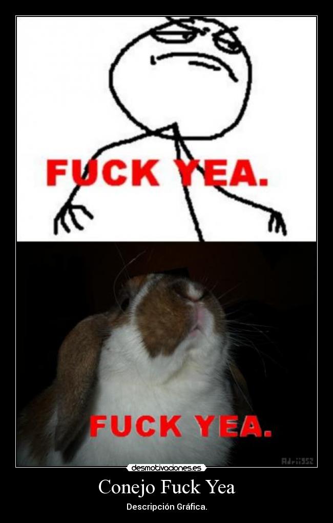 Conejo Fuck Yea -