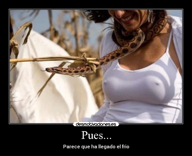 Pues... - Parece que ha llegado el frio