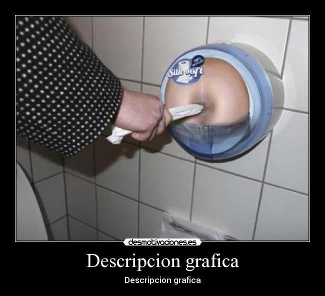 Descripcion grafica -