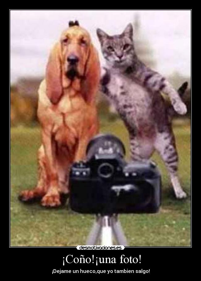 ¡Coño!¡una foto! -