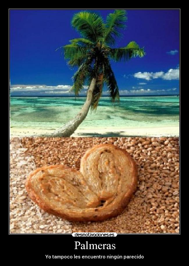 Palmeras - 