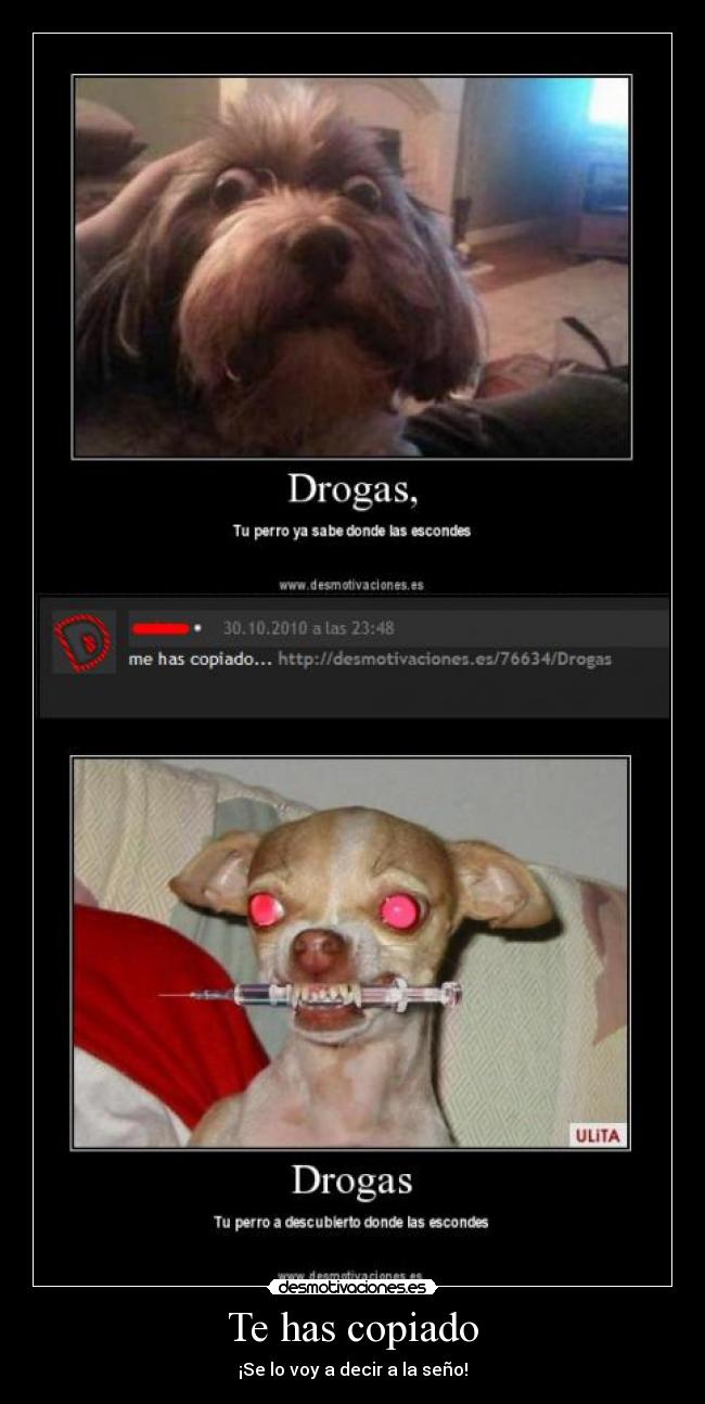 Te has copiado - ¡Se lo voy a decir a la seño!