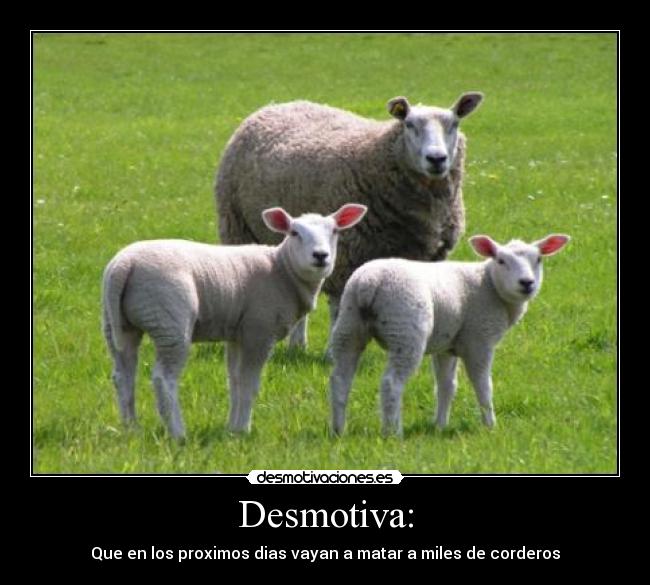 carteles dsmotiva corderos desmotivaciones