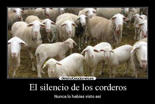 carteles silencio cordero silencio desmotivaciones
