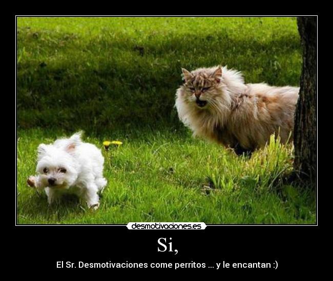 Si, - El Sr. Desmotivaciones come perritos ... y le encantan :)