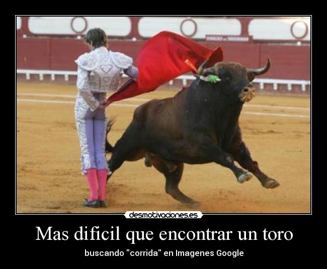 Mas dificil que encontrar un toro -