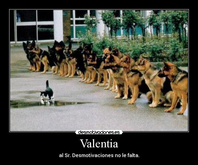 Valentia - al Sr. Desmotivaciones no le falta.