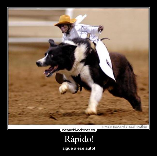 Rápido! - sigue a ese auto!