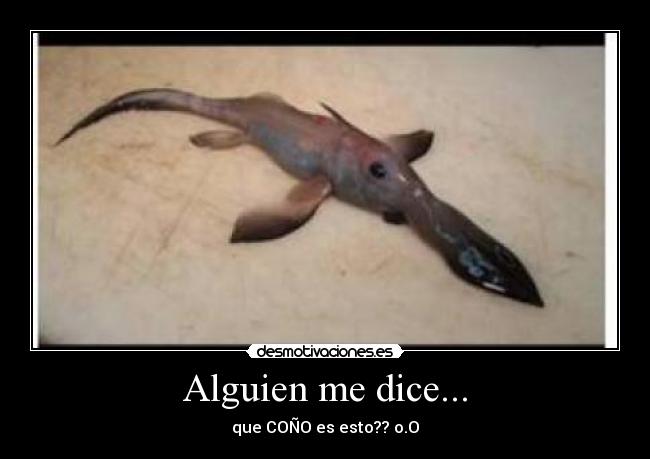 Alguien me dice... - 