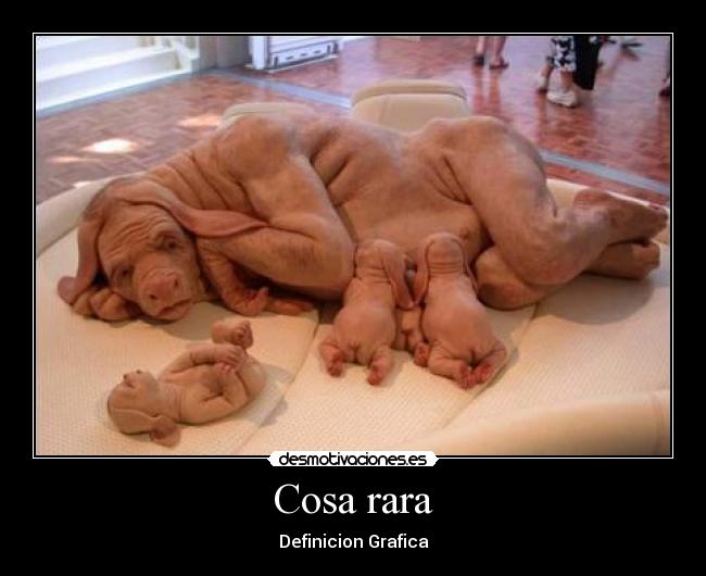 Cosa rara - Definicion Grafica