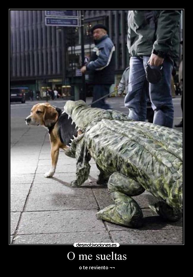 O me sueltas - o te reviento ¬¬