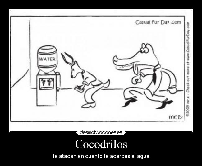 Cocodrilos - te atacan en cuanto te acercas al agua