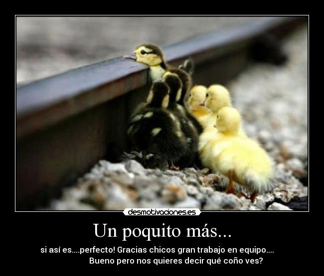 Un poquito más... - si así es....perfecto! Gracias chicos gran trabajo en equipo....     
              Bueno pero nos quieres decir qué coño ves?