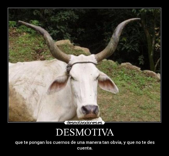 DESMOTIVA - 