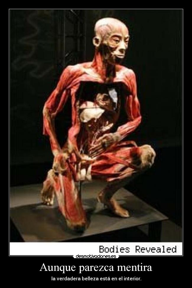 Aunque parezca mentira - 