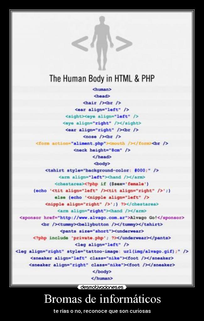 Bromas de informáticos - te rías o no, reconoce que son curiosas