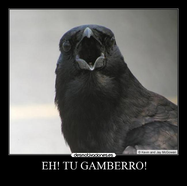 carteles espera que voy vas poner chulo hombre desmotivaciones