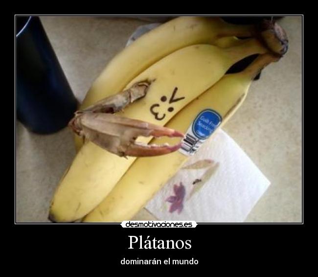 carteles platanos desmotivaciones