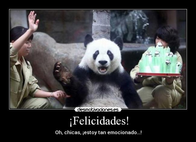 carteles panda cumpleanos desmotivaciones