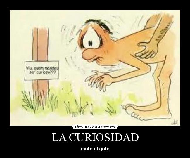 LA CURIOSIDAD - mató al gato