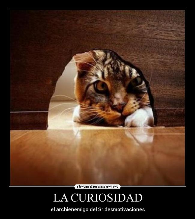 LA CURIOSIDAD - 