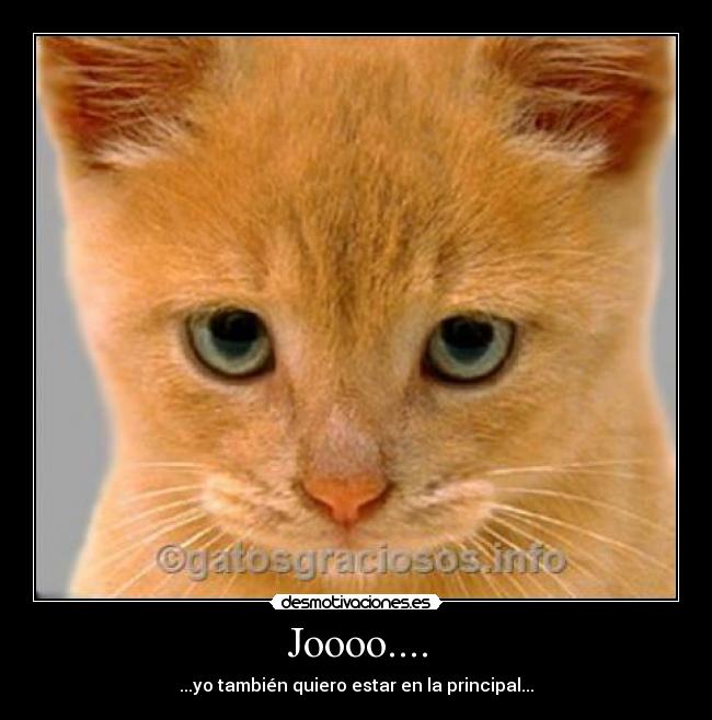 Joooo.... -