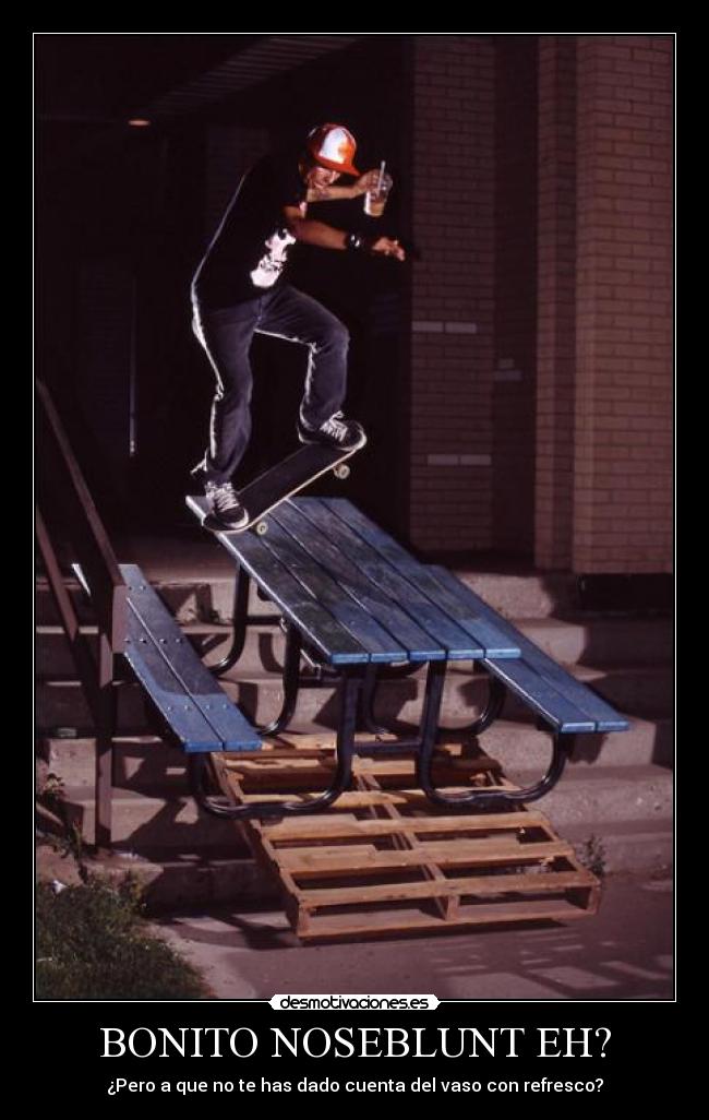 carteles skate desmotivaciones