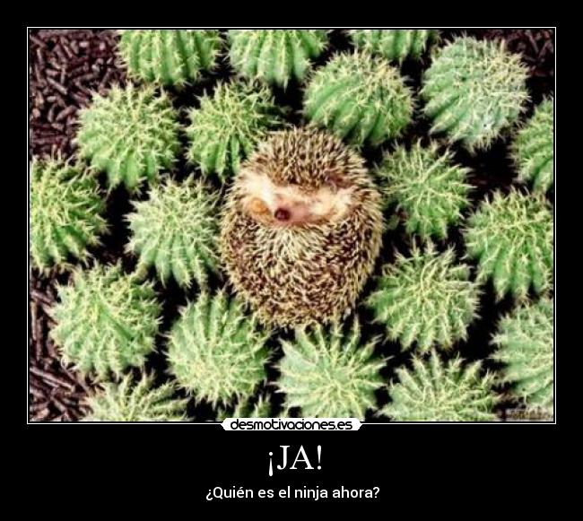 ¡JA! -