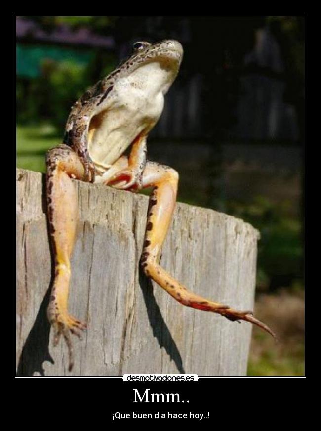 Mmm.. - ¡Que buen dia hace hoy..!