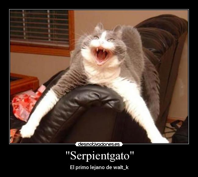 Serpientgato - 