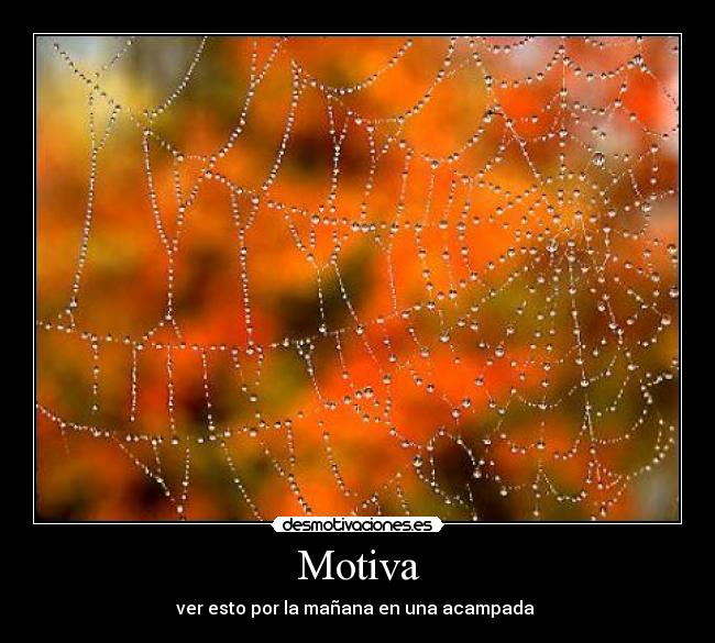 Motiva -