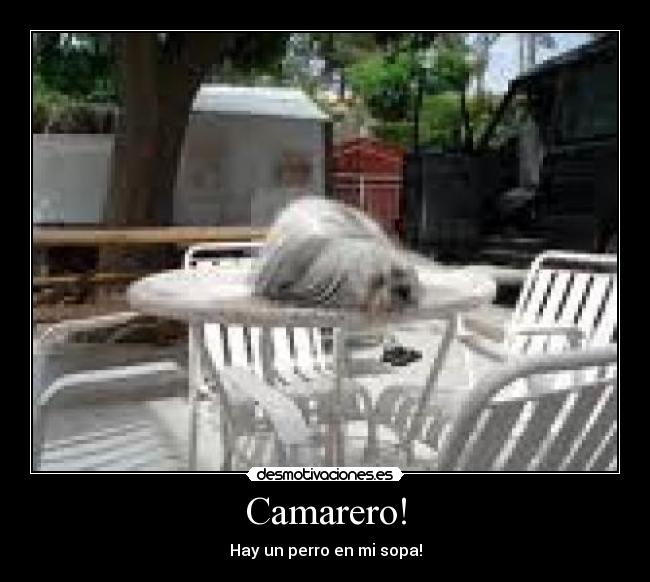Camarero! - 