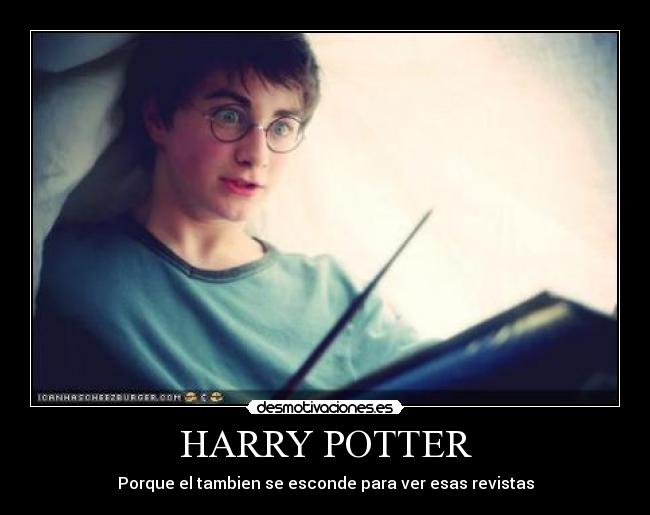 HARRY POTTER - 