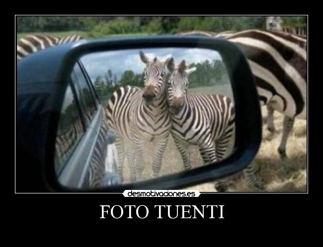 FOTO TUENTI -