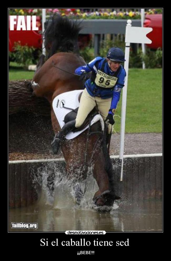 Si el caballo tiene sed  - 