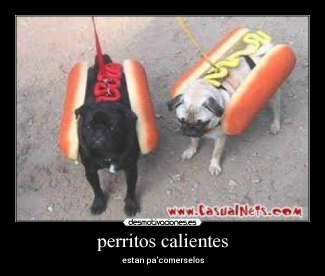 perritos calientes - estan pacomerselos