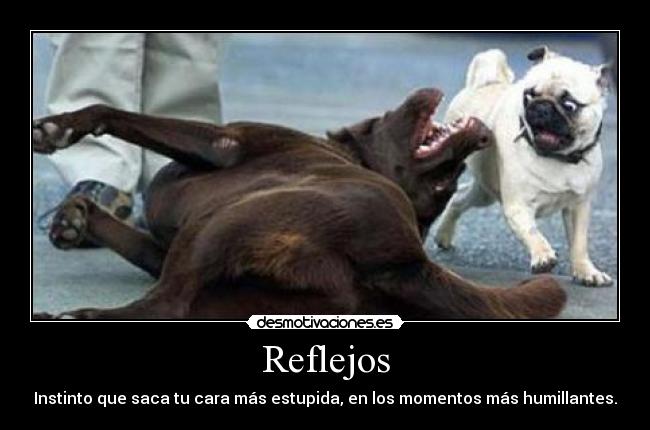 Reflejos - Instinto que saca tu cara más estupida, en los momentos más humillantes.